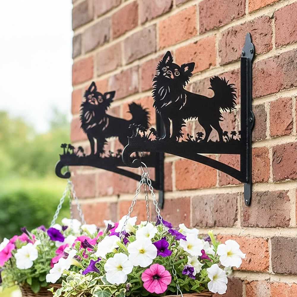 Chihuahua metal hanging basket bracket mounted on outdoor wall for plant decoration