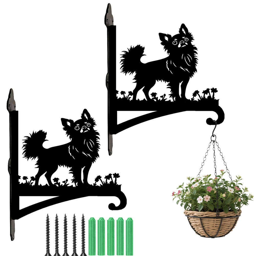 Chihuahua metal hanging basket bracket mounted on outdoor wall for plant decoration