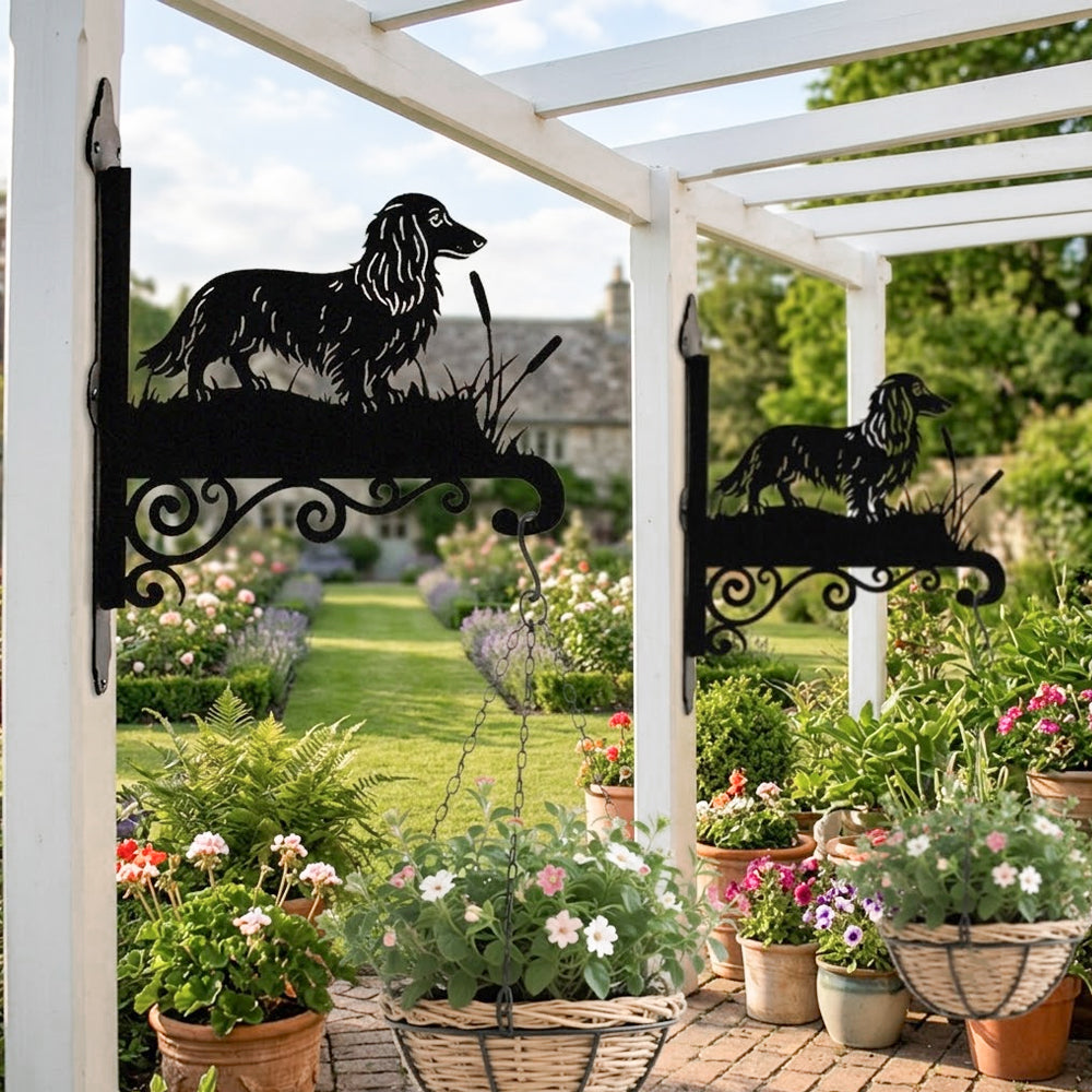 Long haired dachshund metal hanging basket bracket mounted on outdoor wall for plant decoration