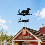 Long Haired Dachshund metal weather vane with directional arrows and mounting rod, outdoor roof and garden decoration