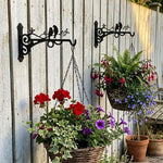 Love birds on branch metal hanging basket bracket mounted on outdoor wall for plant decoration