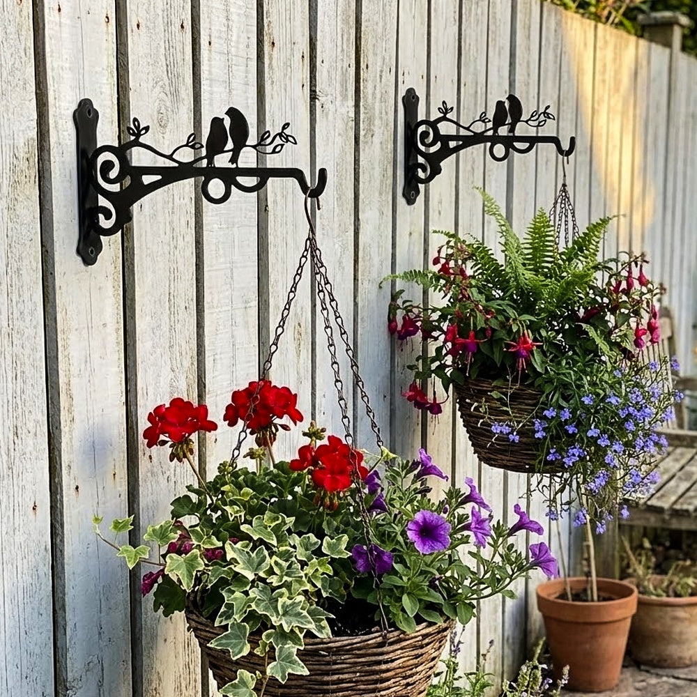 Love birds on branch metal hanging basket bracket mounted on outdoor wall for plant decoration