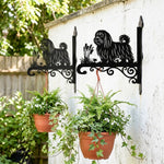 Maltese metal hanging basket bracket mounted on outdoor wall for plant decoration
