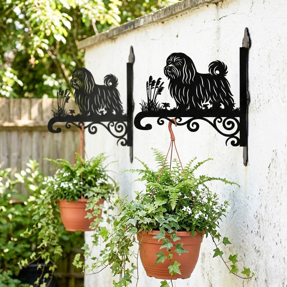 Maltese metal hanging basket bracket mounted on outdoor wall for plant decoration