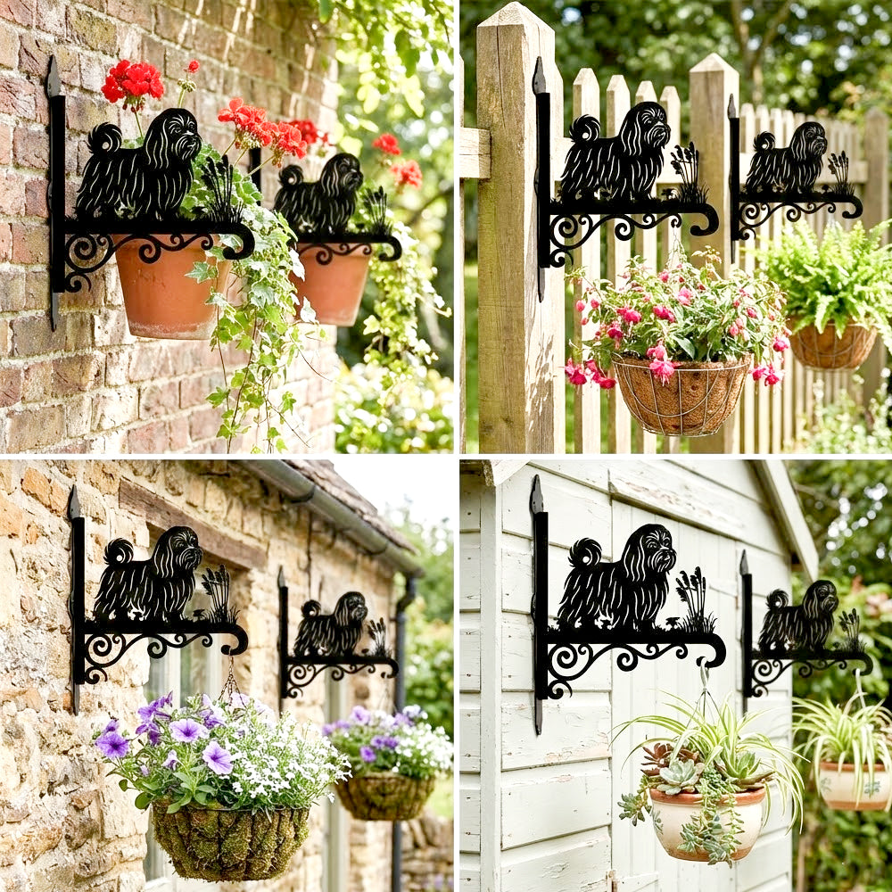 Maltese metal hanging basket bracket mounted on outdoor wall for plant decoration