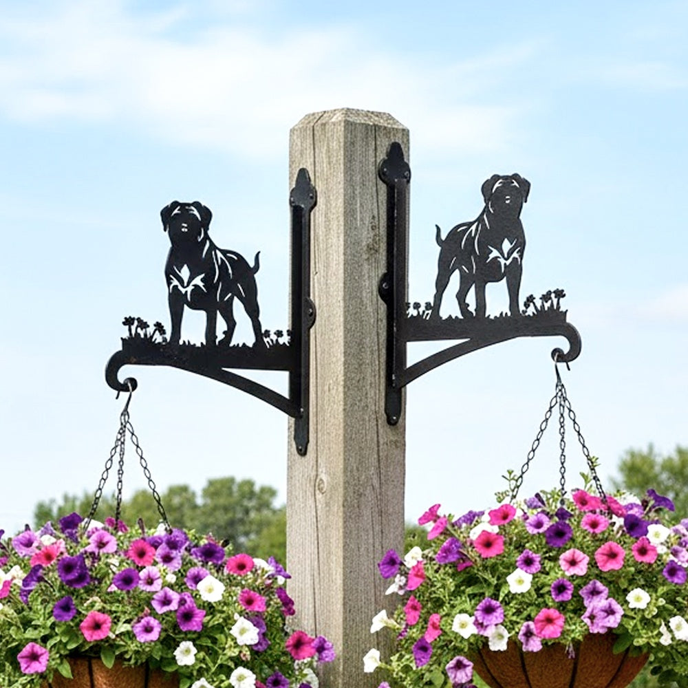 Mastiff metal hanging basket bracket mounted on outdoor wall for plant decoration