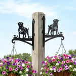 Mastiff metal hanging basket bracket mounted on outdoor wall for plant decoration