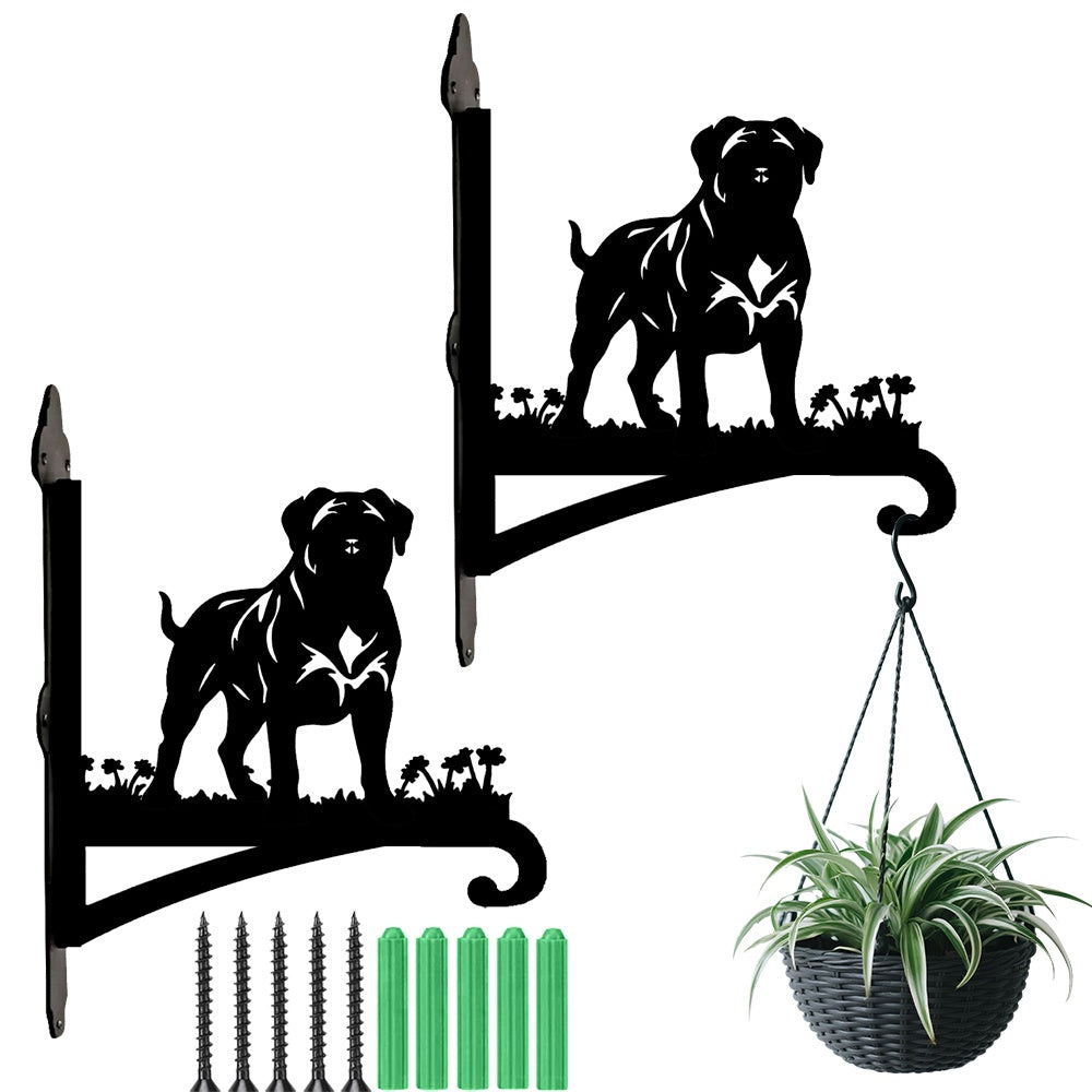 Mastiff metal hanging basket bracket mounted on outdoor wall for plant decoration