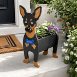 Miniature Pinscher dog planter filled with fresh flowers is placed in the garden