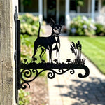 Miniature pinscher metal hanging basket bracket mounted on outdoor wall for plant decoration