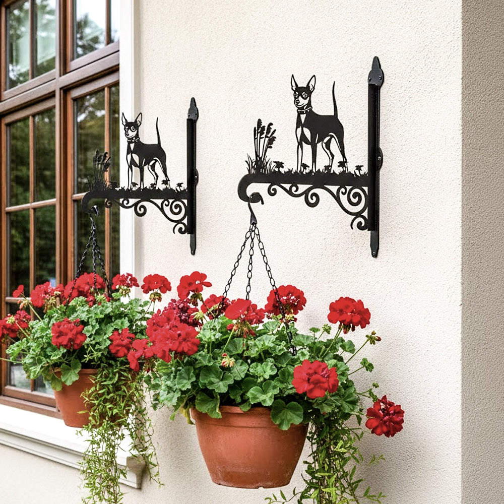 Miniature pinscher metal hanging basket bracket mounted on outdoor wall for plant decoration