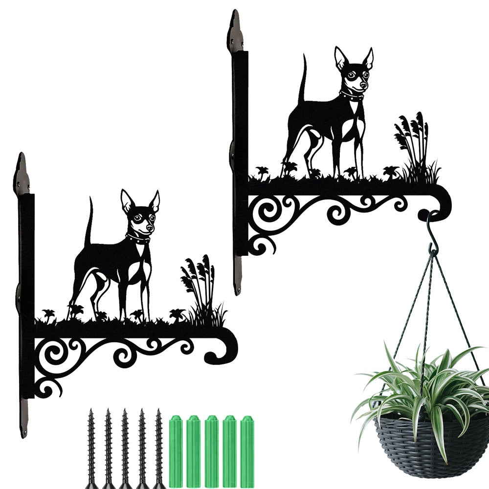 Miniature pinscher metal hanging basket bracket mounted on outdoor wall for plant decoration