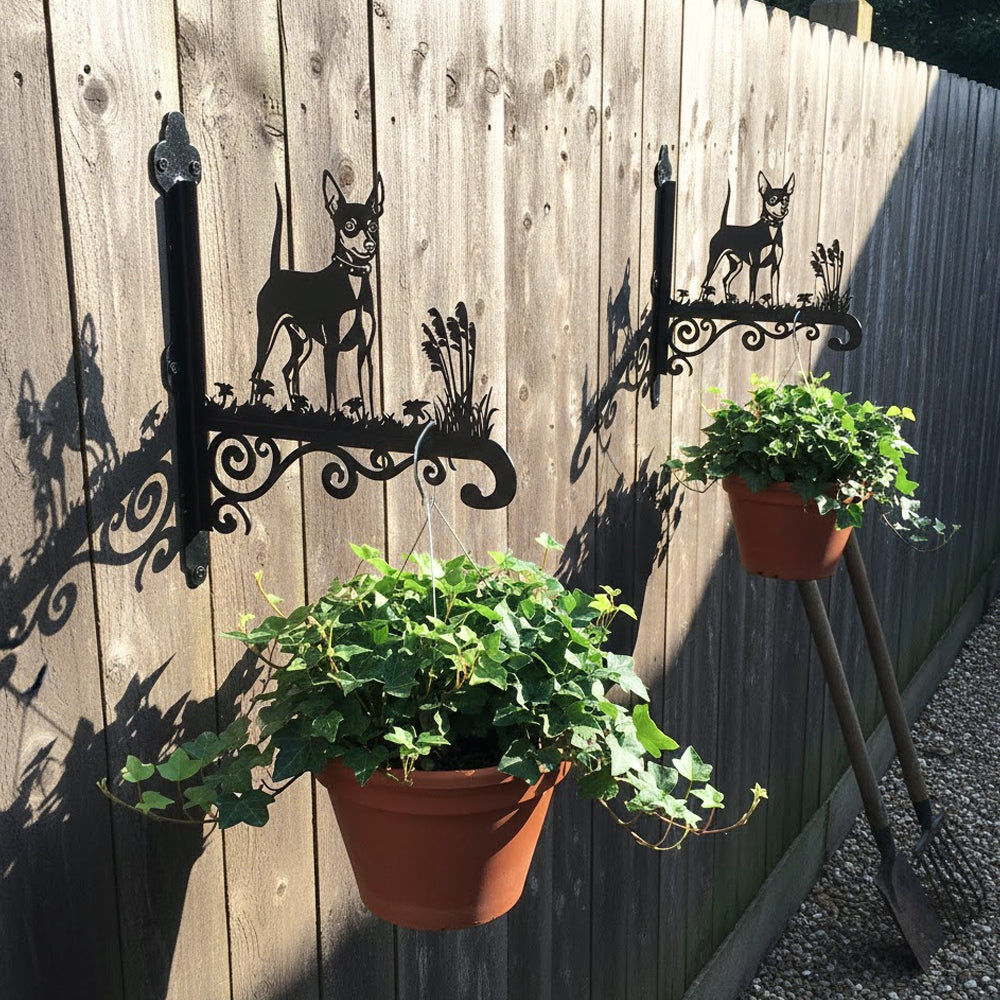 Miniature pinscher metal hanging basket bracket mounted on outdoor wall for plant decoration
