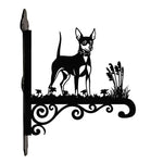 Miniature pinscher metal hanging basket bracket mounted on outdoor wall for plant decoration