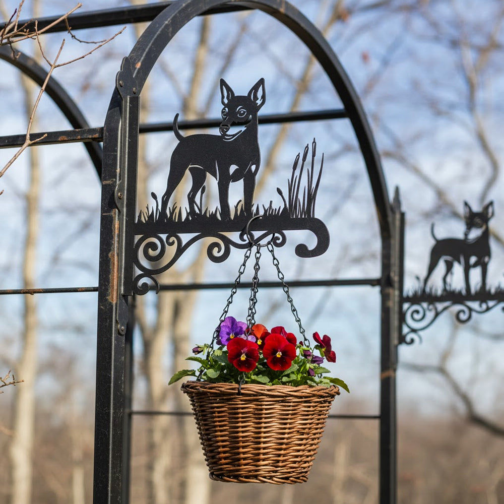 Miniature pinscher metal hanging basket bracket mounted on outdoor wall for plant decoration