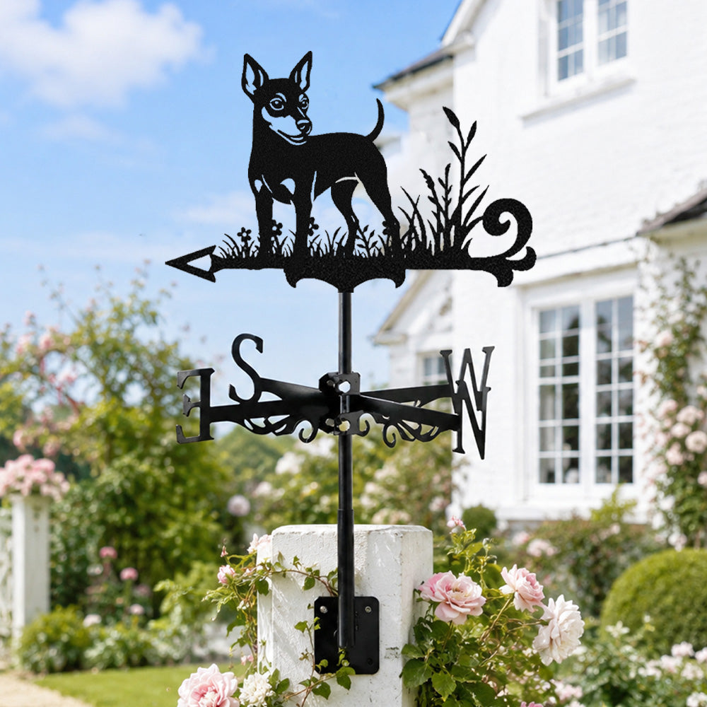 Miniature pinscher metal weather vane with directional arrows and mounting rod, outdoor roof and garden decoration