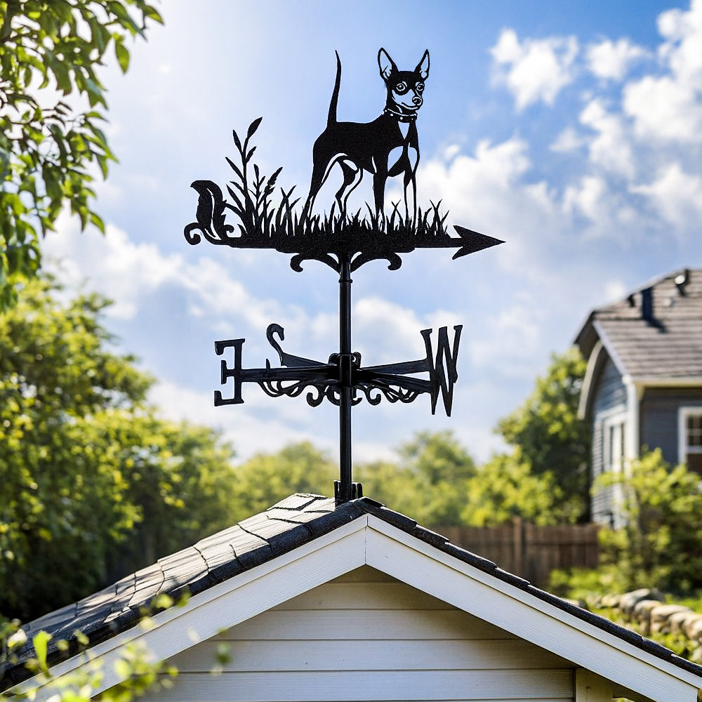 Miniature pinscher metal weather vane with directional arrows and mounting rod, outdoor roof and garden decoration