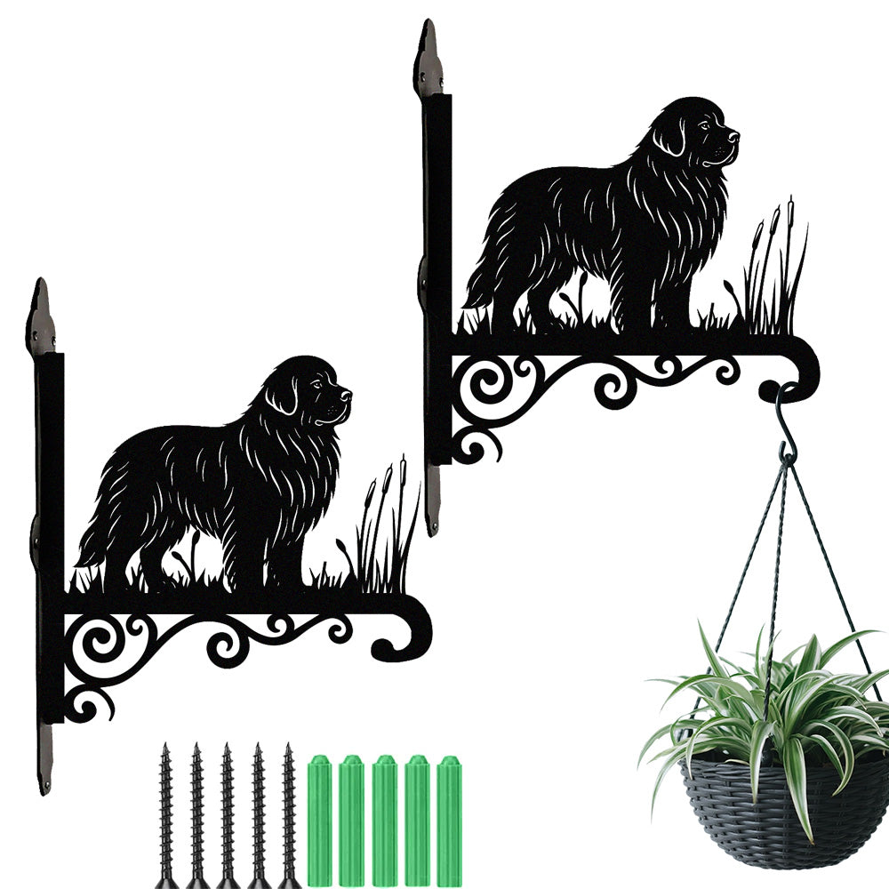 Newfoundland metal hanging basket bracket mounted on outdoor wall for plant decoration