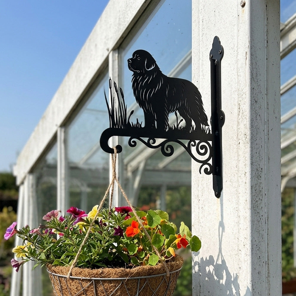 Newfoundland metal hanging basket bracket mounted on outdoor wall for plant decoration