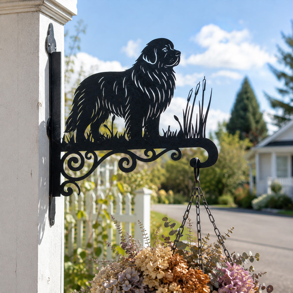 Newfoundland metal hanging basket bracket mounted on outdoor wall for plant decoration