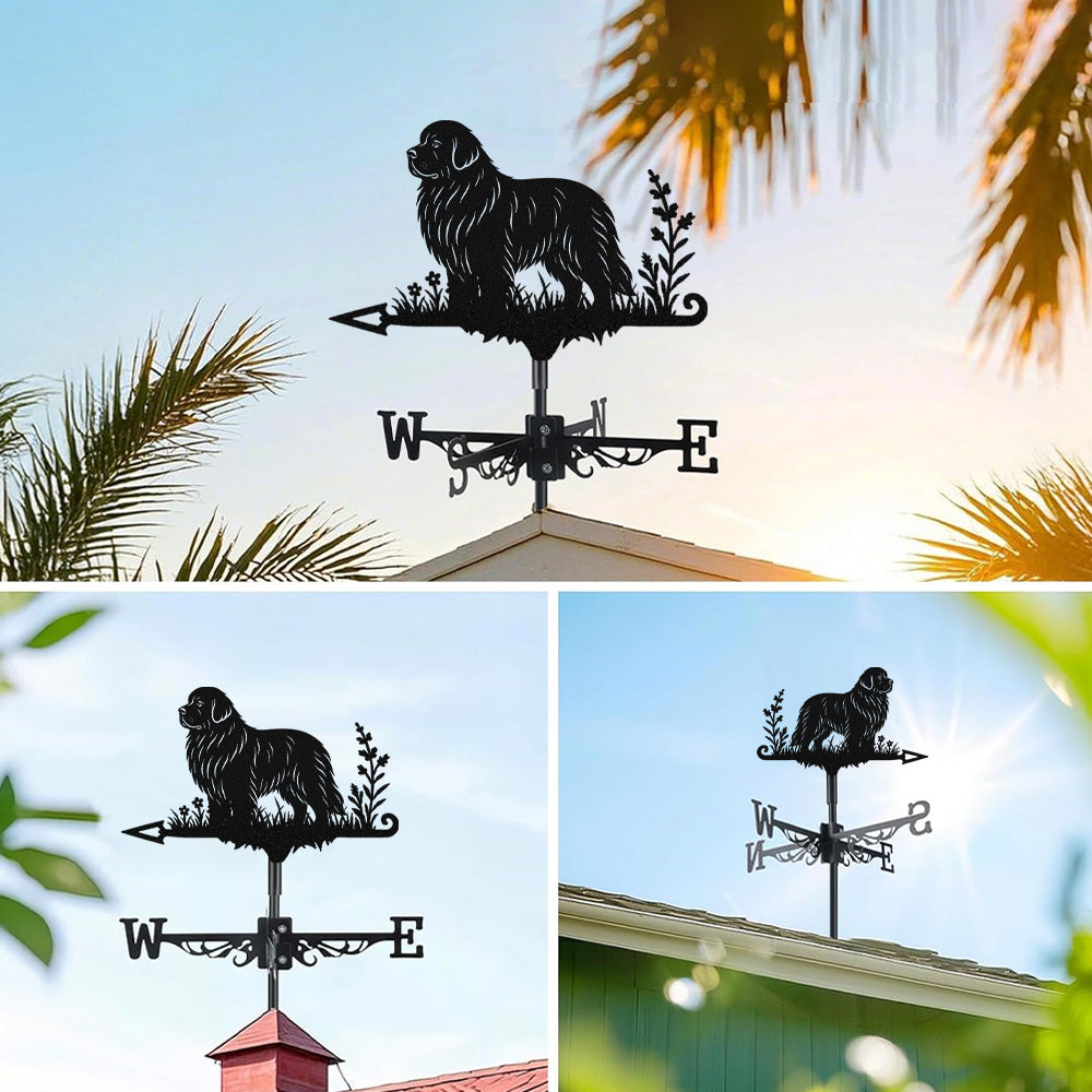 Newfoundland metal weather vane with directional arrows and mounting rod, outdoor roof and garden decoration