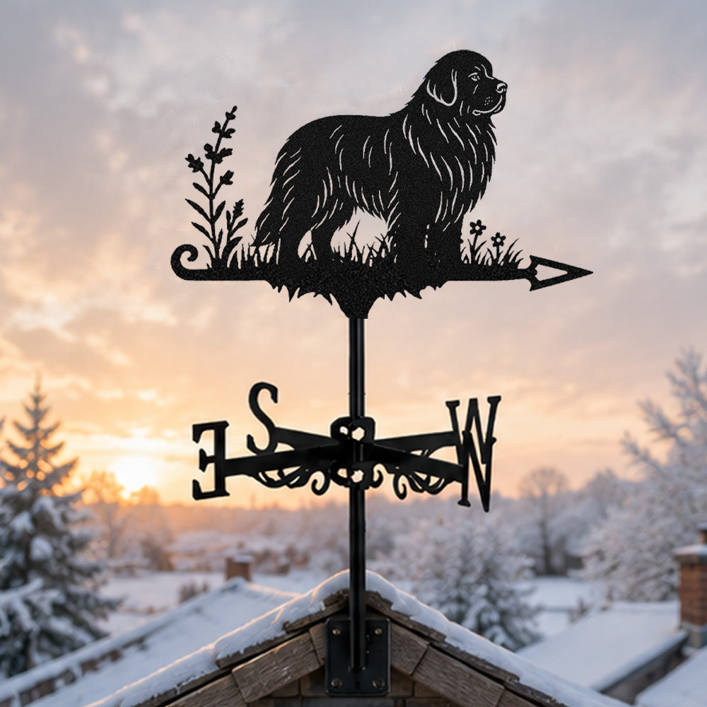 Newfoundland metal weather vane with directional arrows and mounting rod, outdoor roof and garden decoration