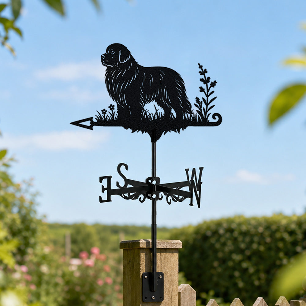 Newfoundland metal weather vane with directional arrows and mounting rod, outdoor roof and garden decoration