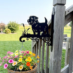 Norfolk terrier metal hanging basket bracket mounted on outdoor wall for plant decoration