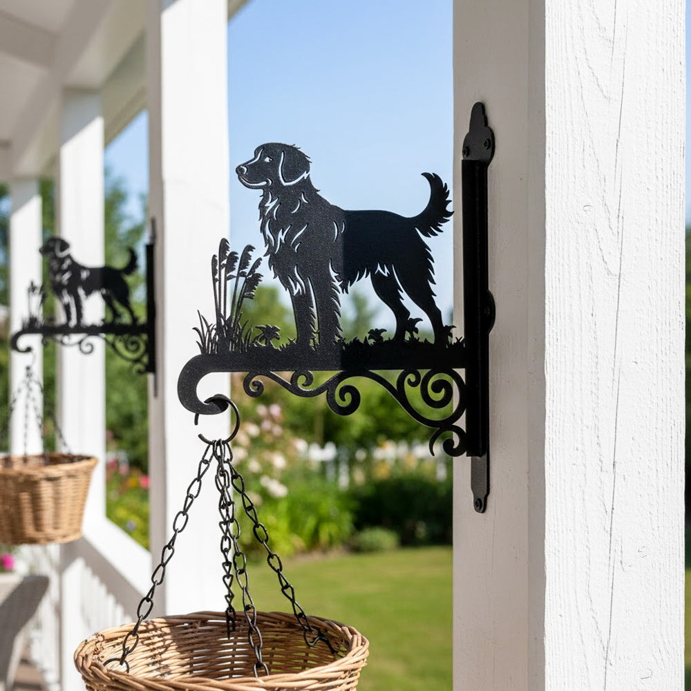 Nova scotia duck tolling retriever metal hanging basket bracket mounted on outdoor wall for plant decoration