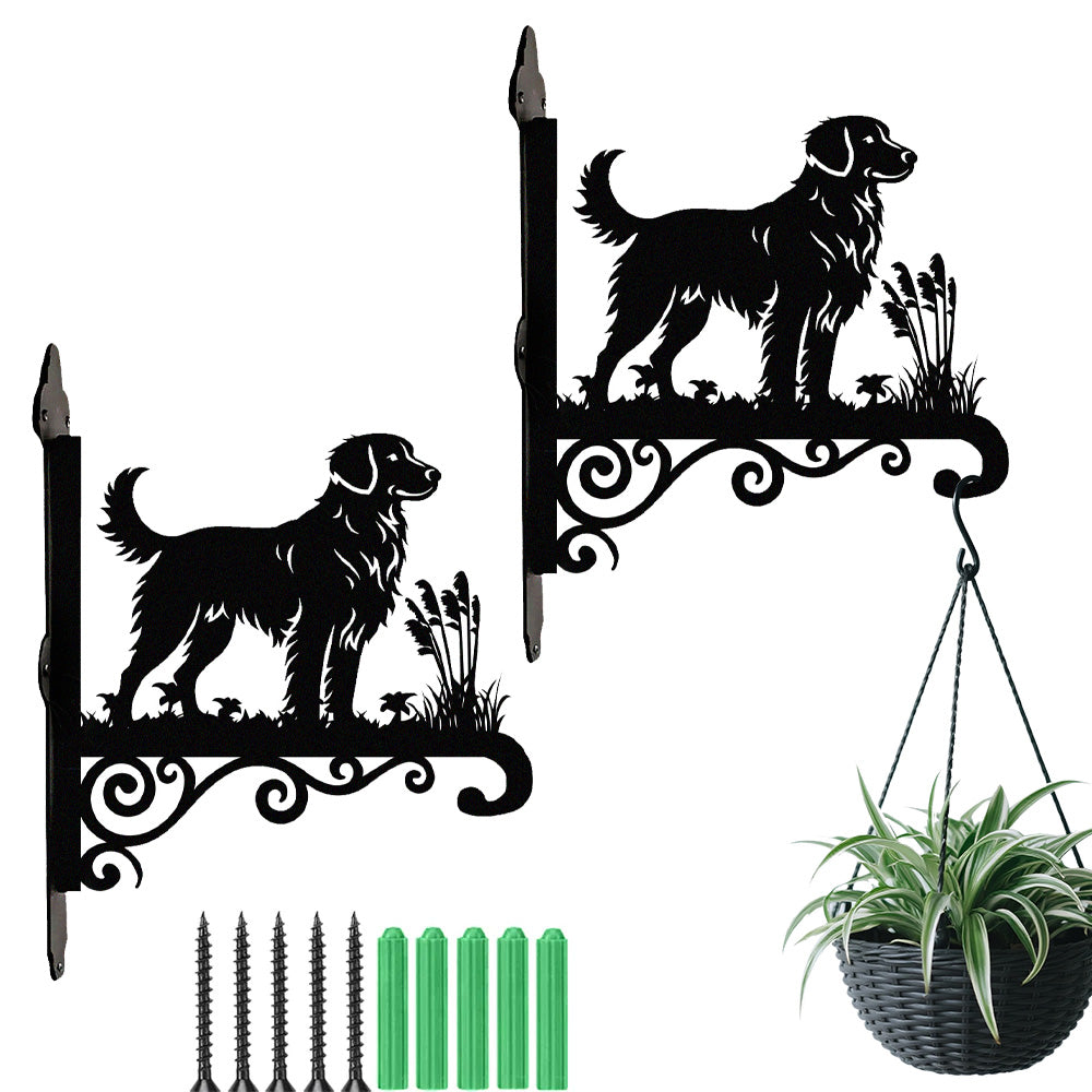 Nova scotia duck tolling retriever metal hanging basket bracket mounted on outdoor wall for plant decoration