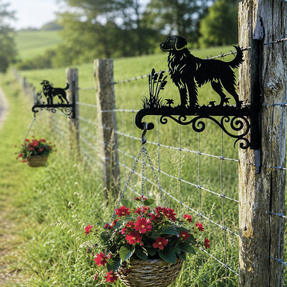 Nova scotia duck tolling retriever metal hanging basket bracket mounted on outdoor wall for plant decoration