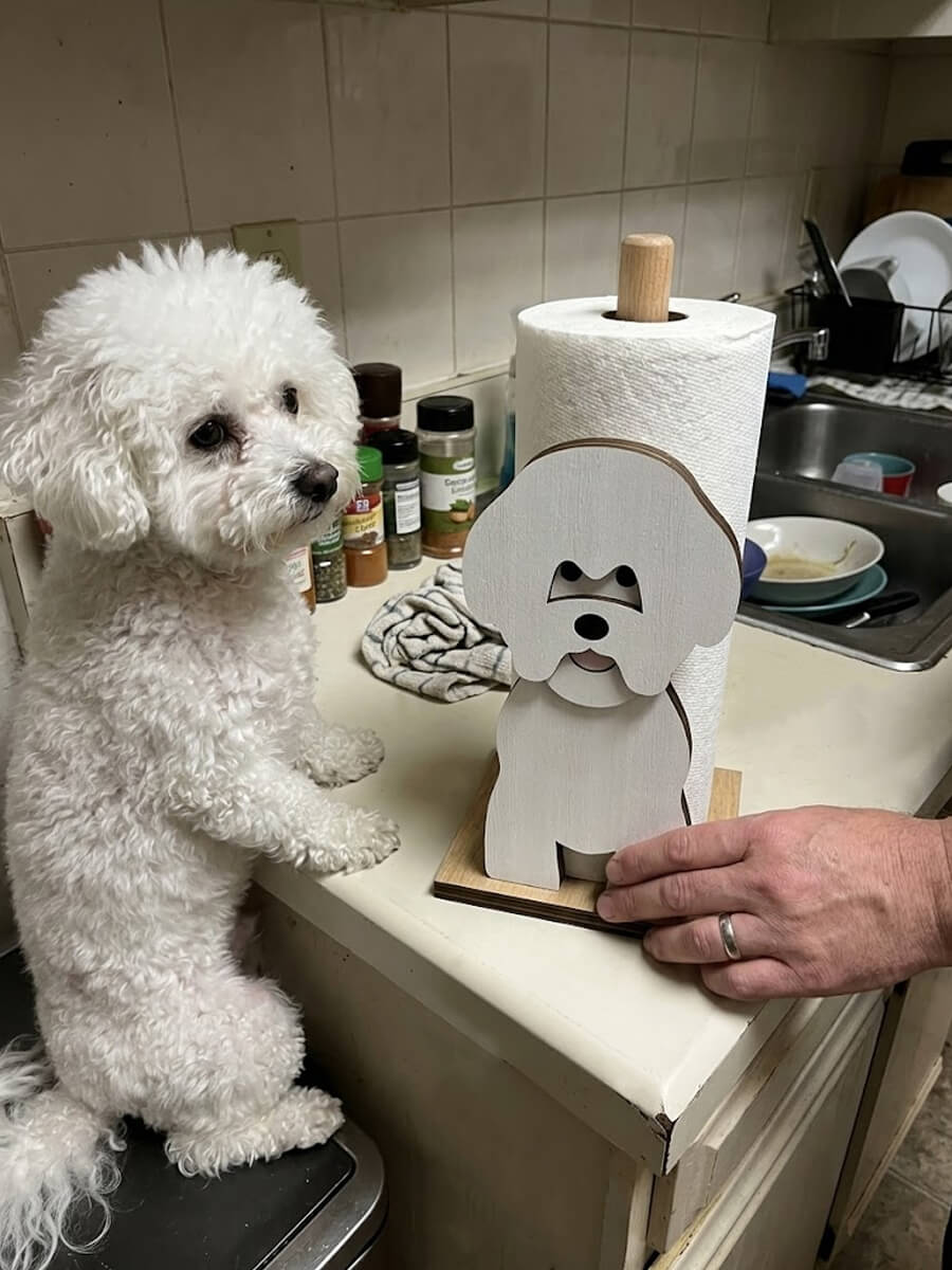 Paper Towel Holder Customer Photo