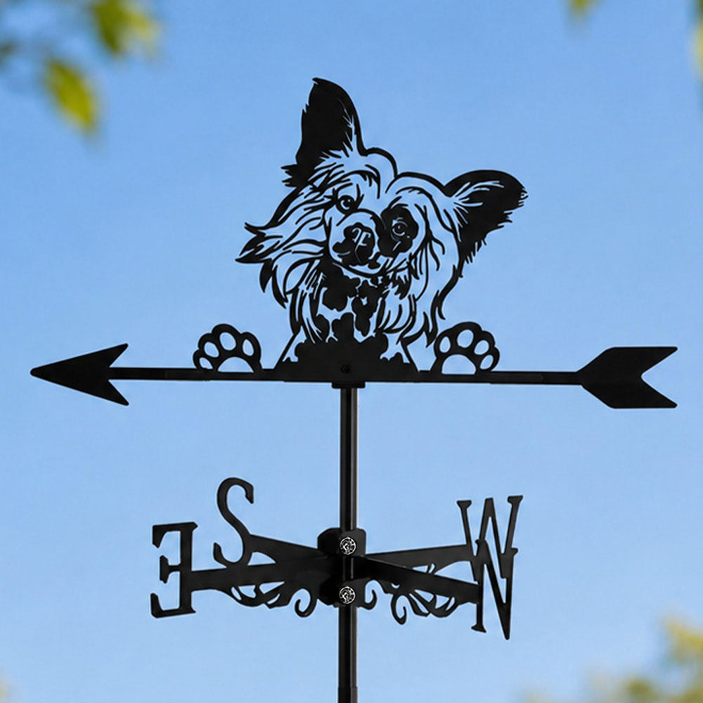 Papillon metal weather vane with directional arrows and mounting rod, outdoor roof and garden decoration