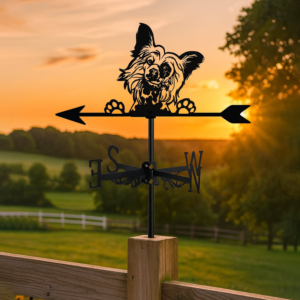 Papillon metal weather vane with directional arrows and mounting rod, outdoor roof and garden decoration