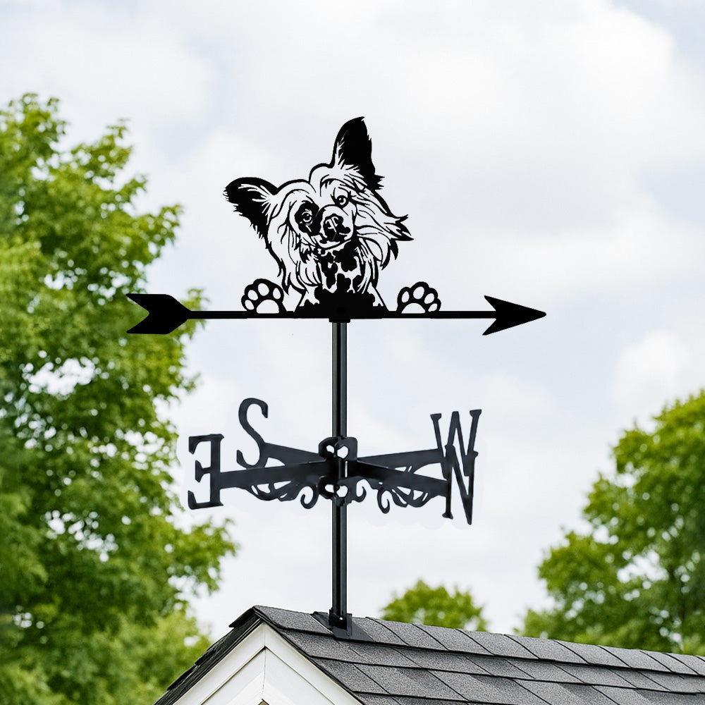 Papillon metal weather vane with directional arrows and mounting rod, outdoor roof and garden decoration