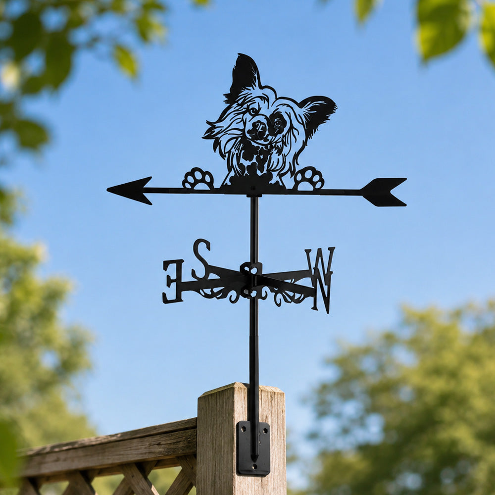 Papillon metal weather vane with directional arrows and mounting rod, outdoor roof and garden decoration