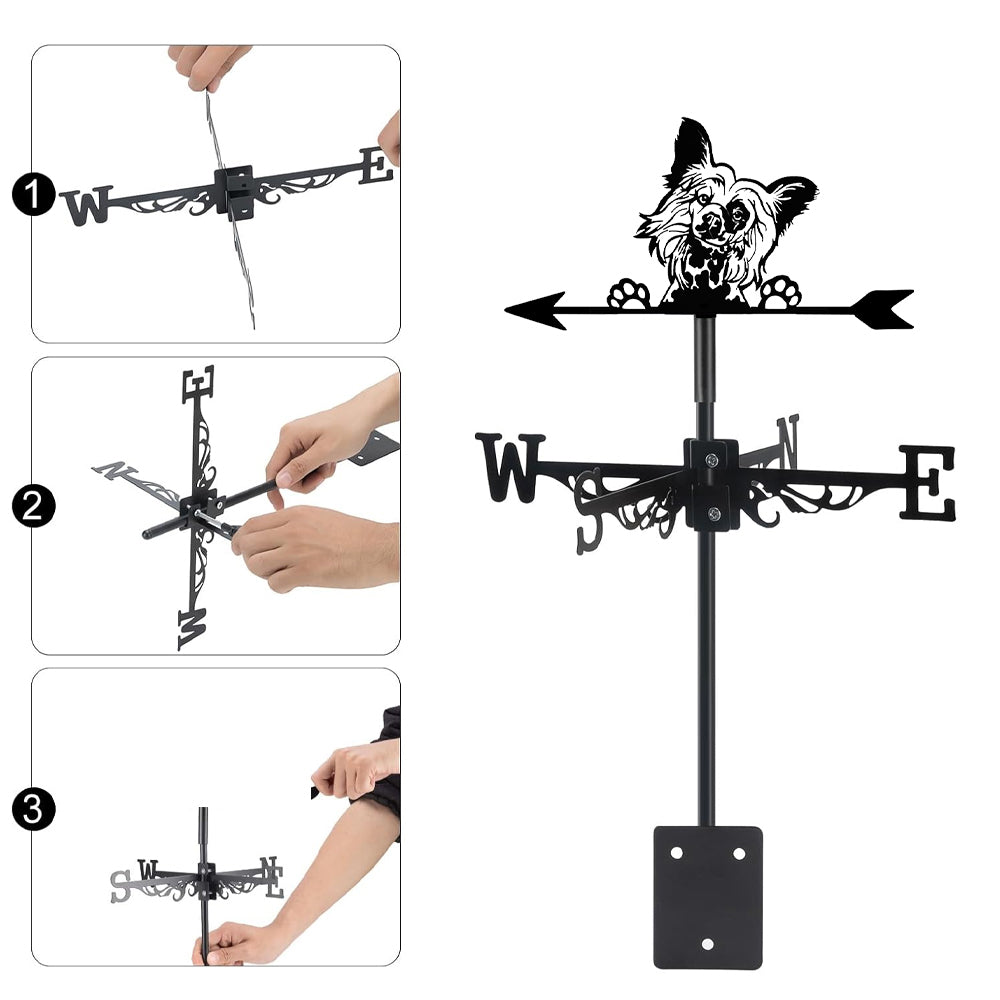 Papillon metal weather vane with directional arrows and mounting rod, outdoor roof and garden decoration
