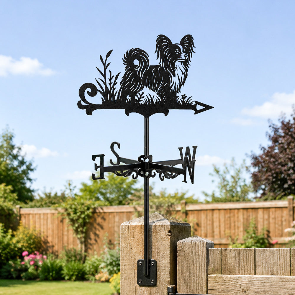Papillon metal weather vane with directional arrows and mounting rod, outdoor roof and garden decoration