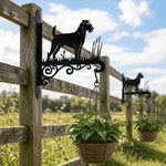Parson russell terrier metal hanging basket bracket mounted on outdoor wall for plant decoration