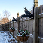 Peace dove bird metal hanging basket bracket mounted on outdoor wall for plant decoration