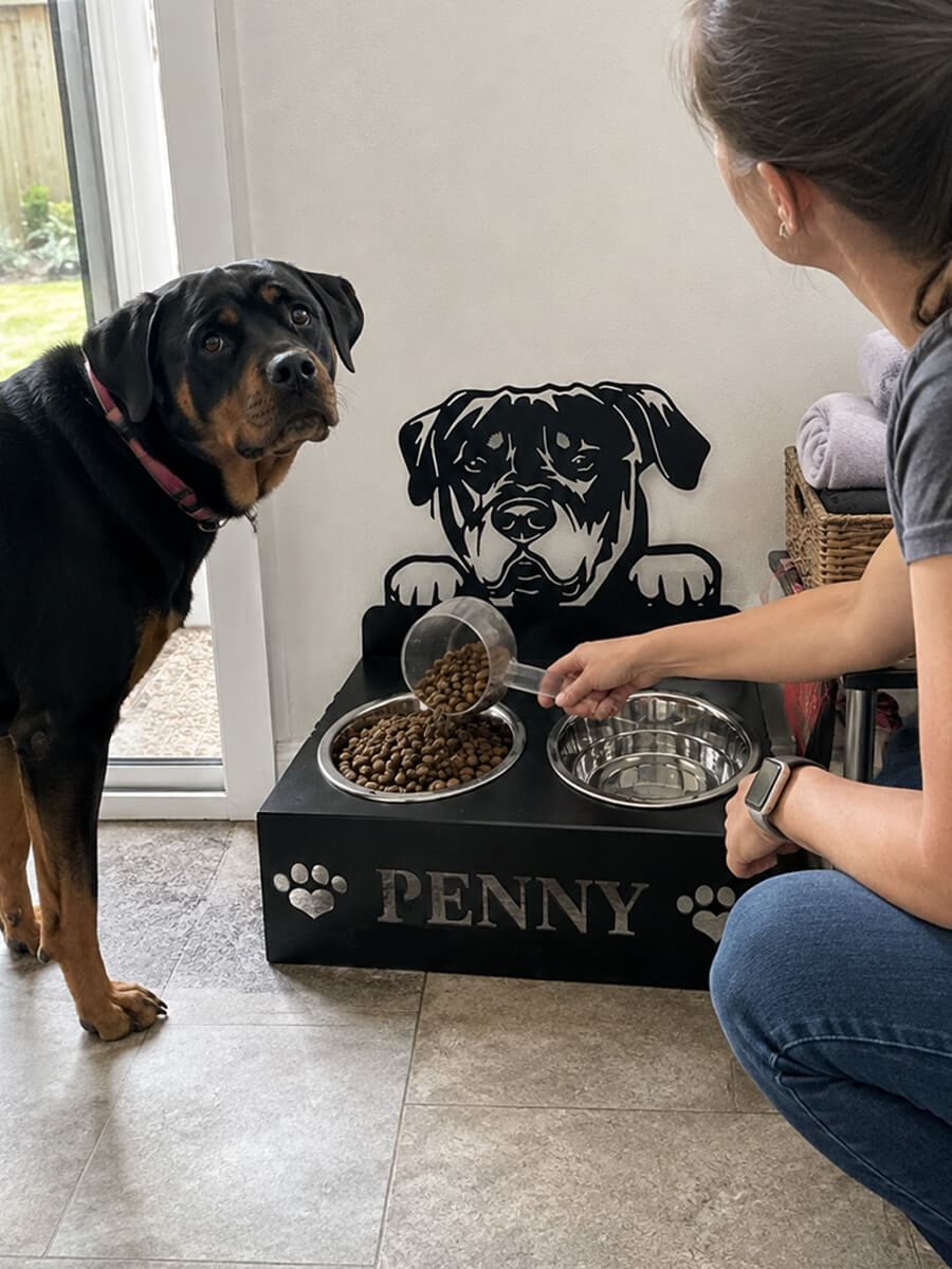 Pet Bowl Stand Customer Photo