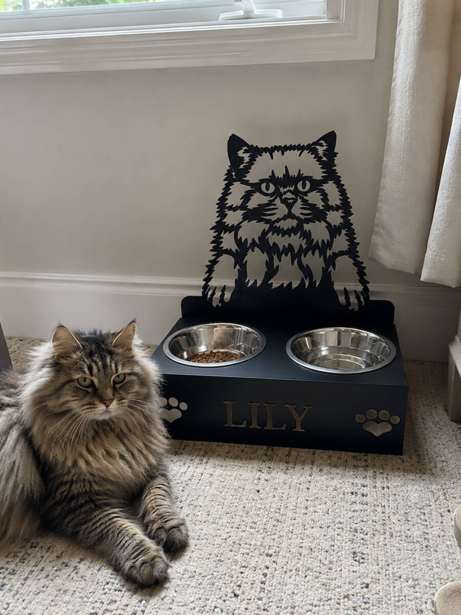 Pet Bowl Stand Customer Photo