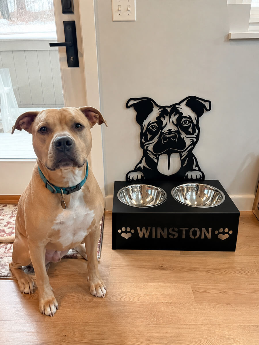 Pet Bowl Stand Customer Photo