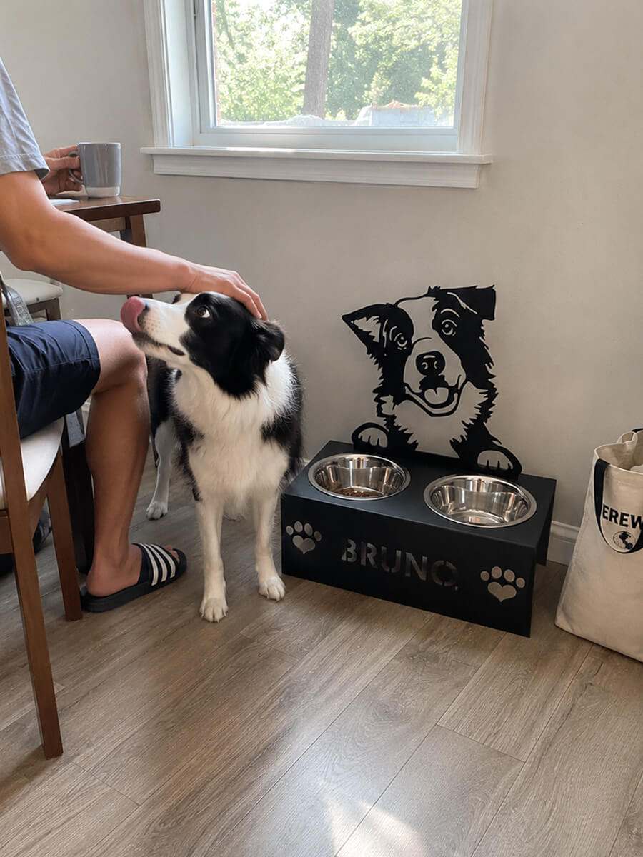 Pet Bowl Stand Customer Photo