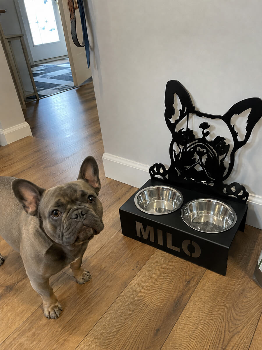 Pet Bowl Stand Customer Photo