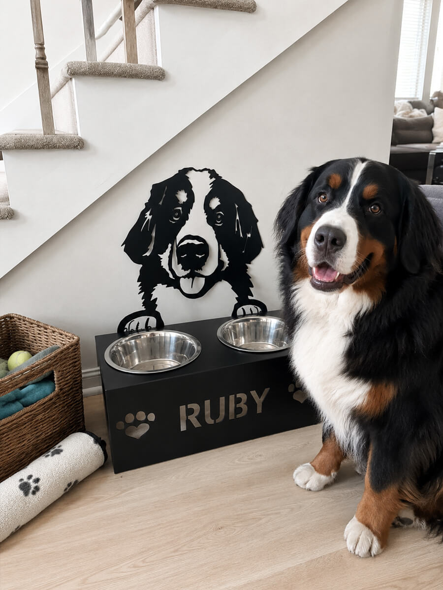 Pet Bowl Stand Customer Photo