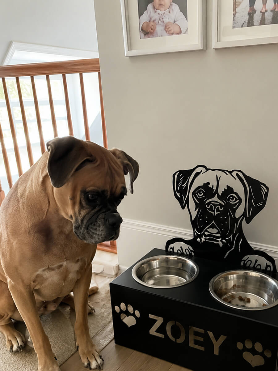 Pet Bowl Stand Customer Photo