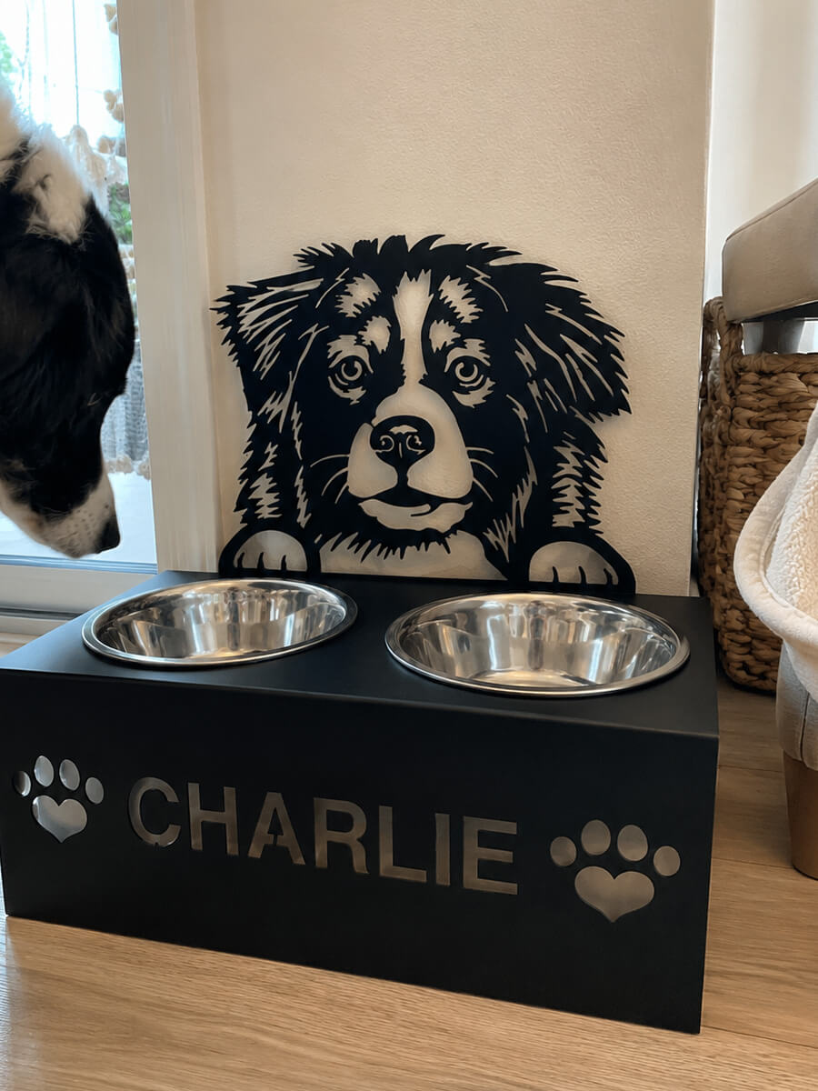 Pet Bowl Stand Customer Photo