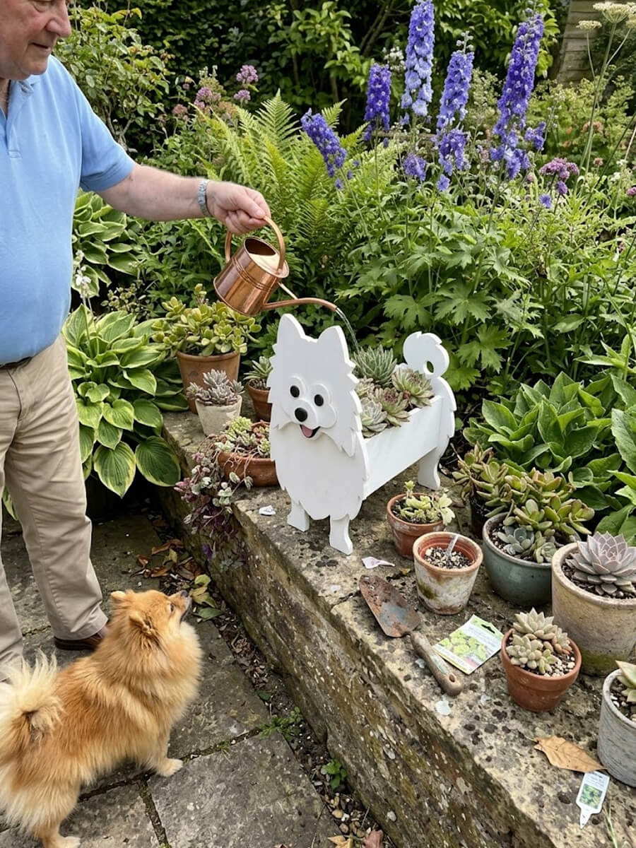 Pet Planter Customer Photo