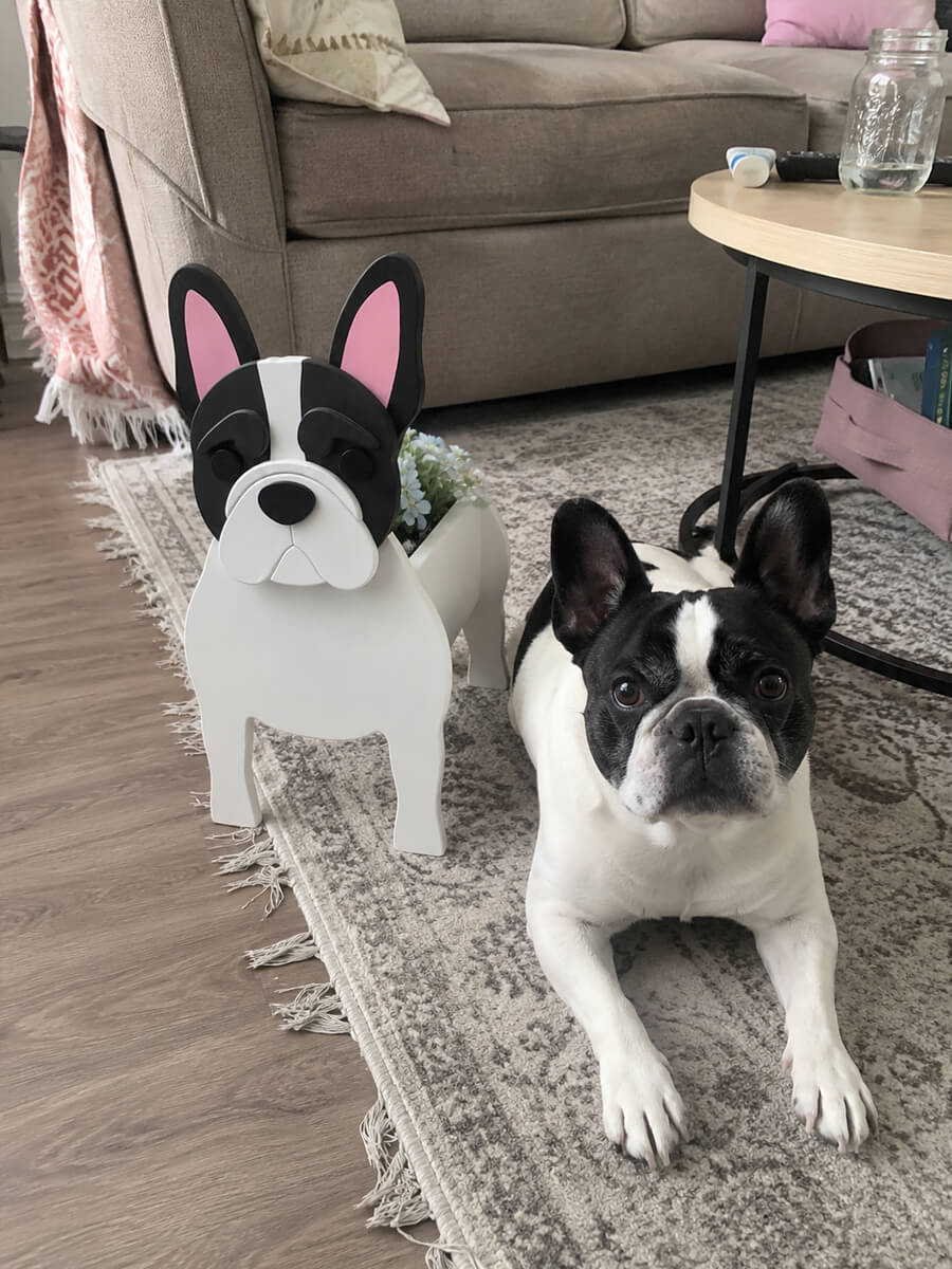 Pet Planter Customer Photo